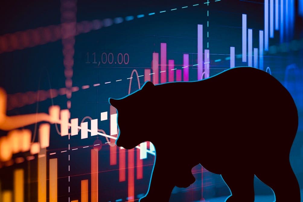 What to Expect in the Current Bear Market